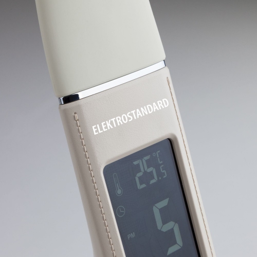 Elektrostandard TL90220