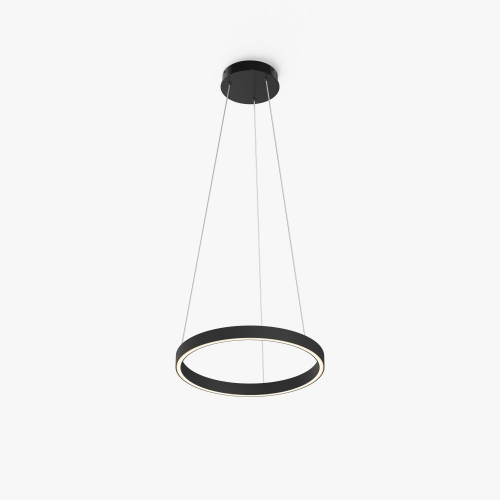 Maytoni MOD058PL-L22BK