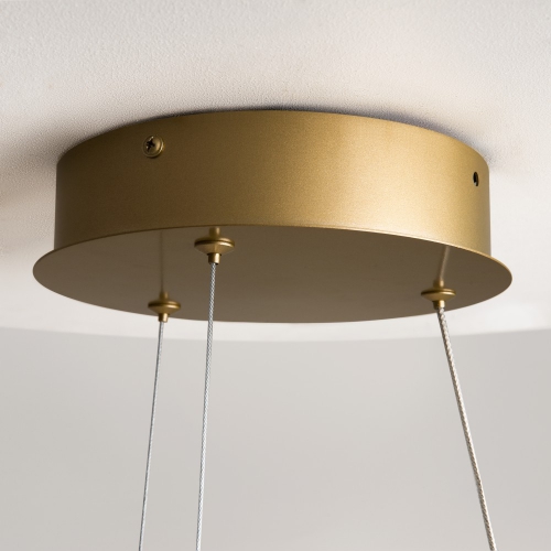 Maytoni MOD241PL-L60BSK