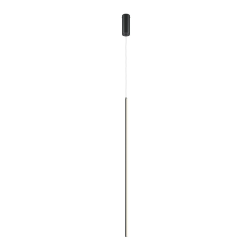 Maytoni MOD246PL-L24BK1