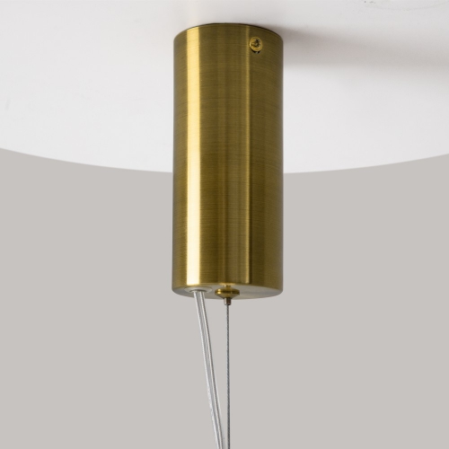 Maytoni MOD297PL-L24BS3K