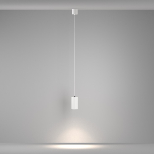Maytoni P100PL-20W4K-W