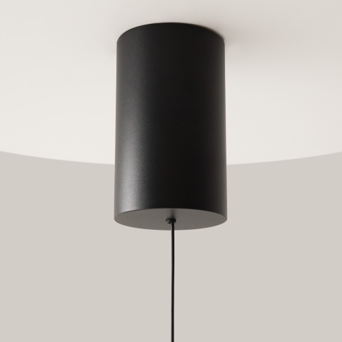 Maytoni P101PL-L300-12W3K-B