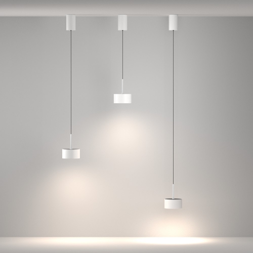 Maytoni P102PL-12W4K-W