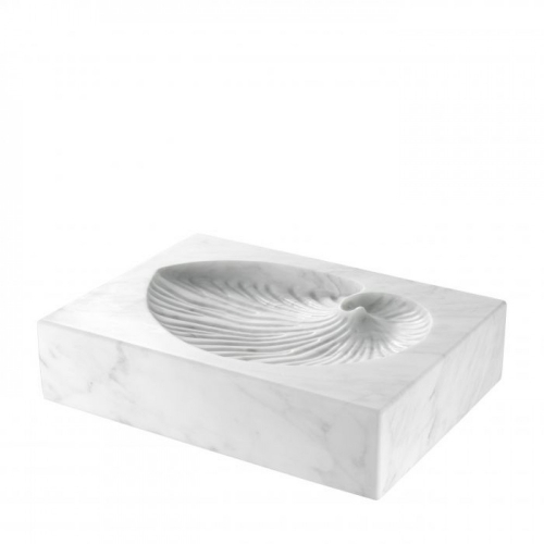 Object Conchiglia 113226