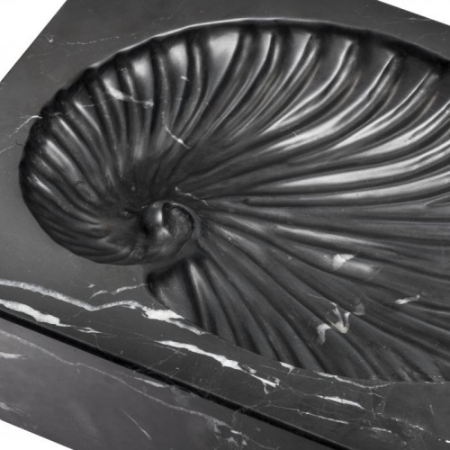 Object Conchiglia 113692