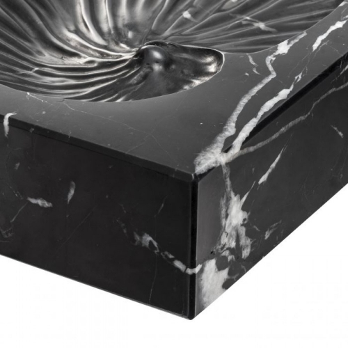 Object Conchiglia 113692