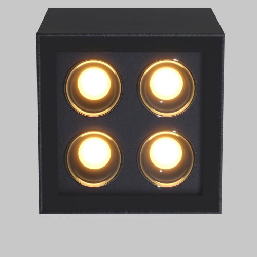 Outdoor O309CL-L8GF3K