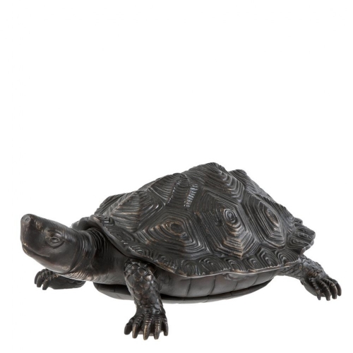 Turtle 110477